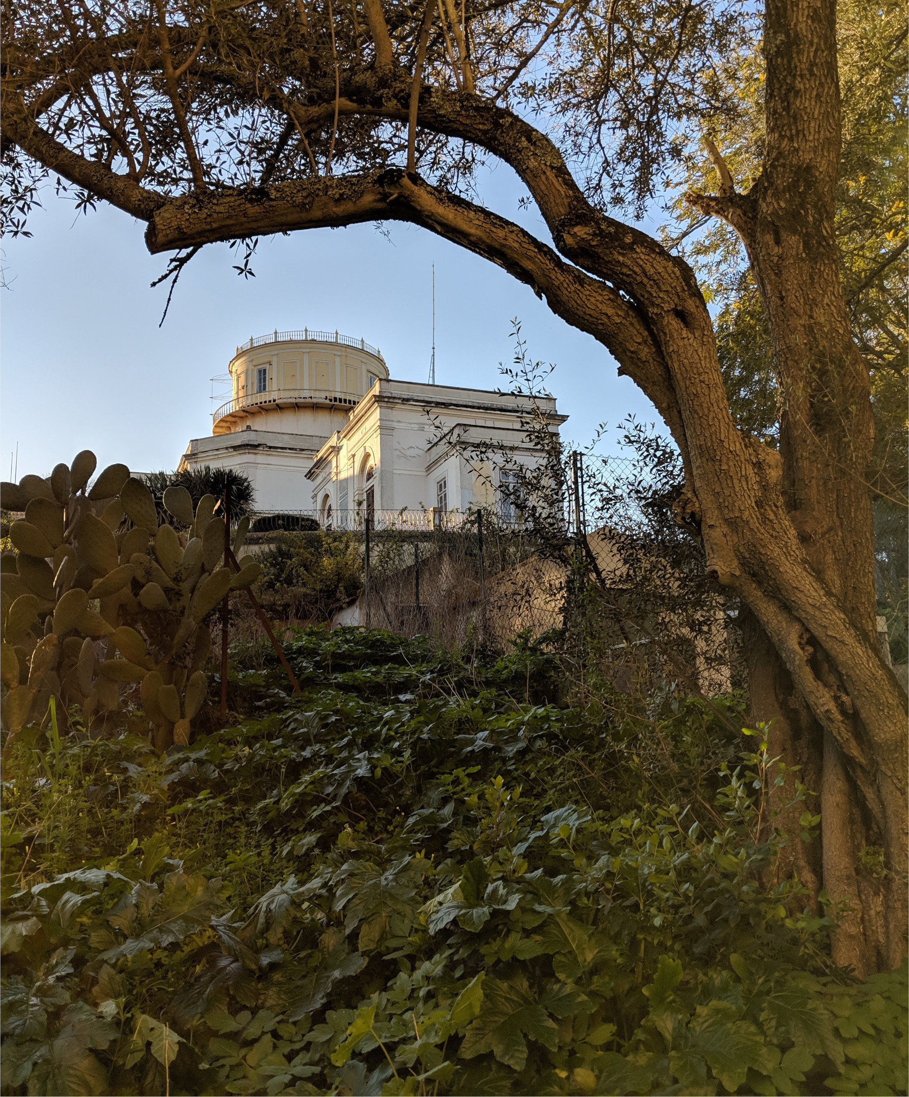 Lisbon Observatory